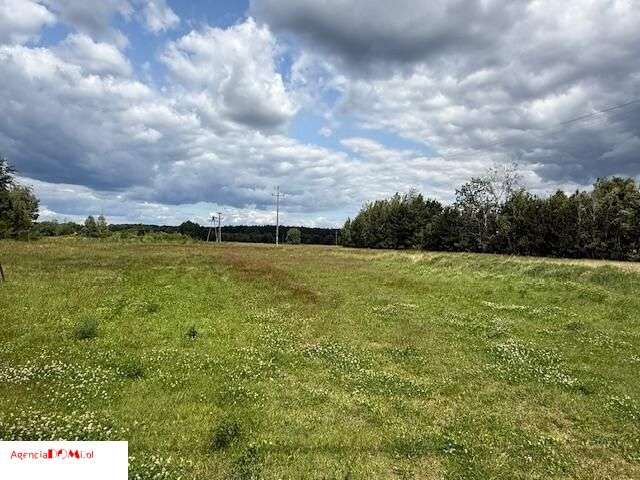 Książenice, 4630m,vis-a-vis hotelu Cyprus, - Pełny obrazek: 5/11