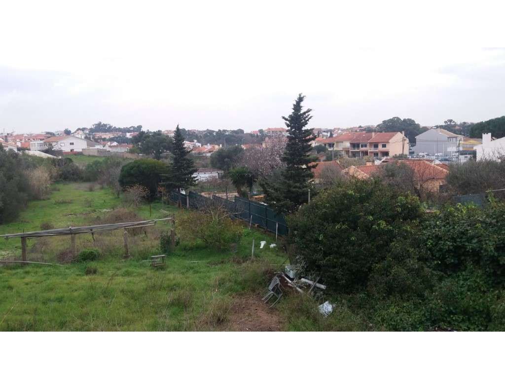 Terreno com 2040m² , Cascais, Manique-3