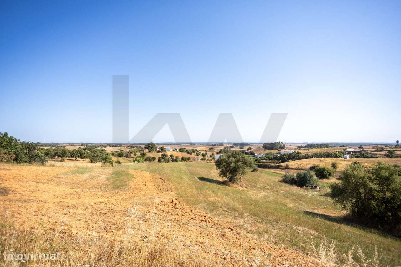Moradia T2 com 13.500 m2 de Terreno em Cercal do Alentejo e Próxima da-5