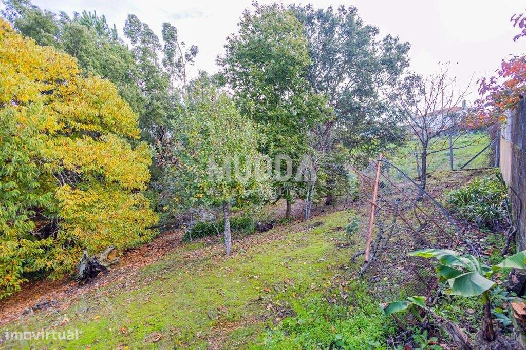 Moradia T4+ com Jardim e Pomar em Escapães, Santa Maria da Feira-40