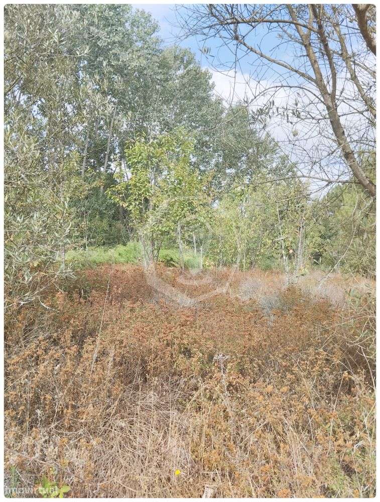 TERRENO - Grande imagem: 4/5