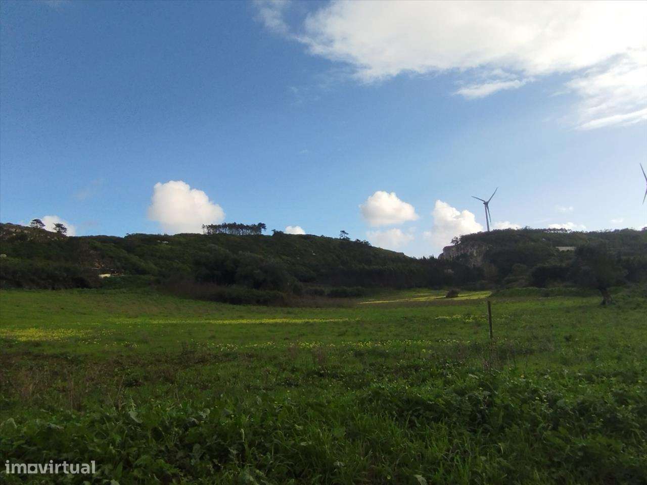 Terreno em Lourinhã, São Bartolomeu Galegos - Grande imagem: 5/12