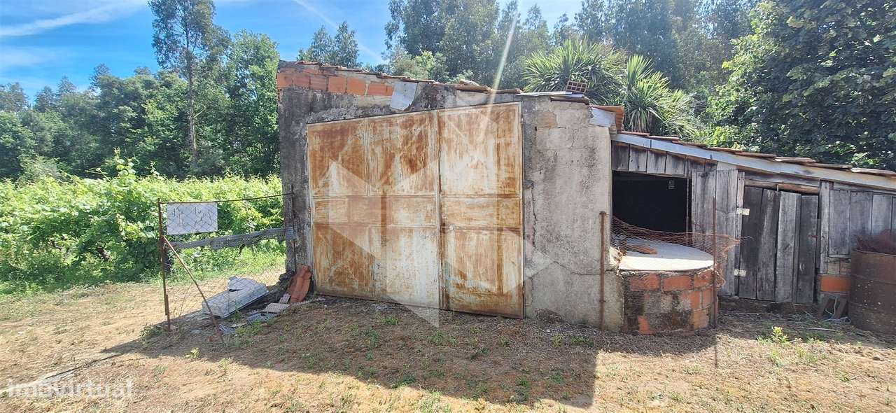 Quintinha  Venda em Lobão da Beira,Tondela-10