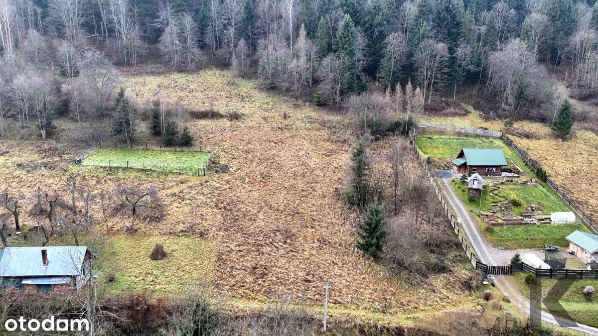 kn439879 - Pełny obrazek: 4/12