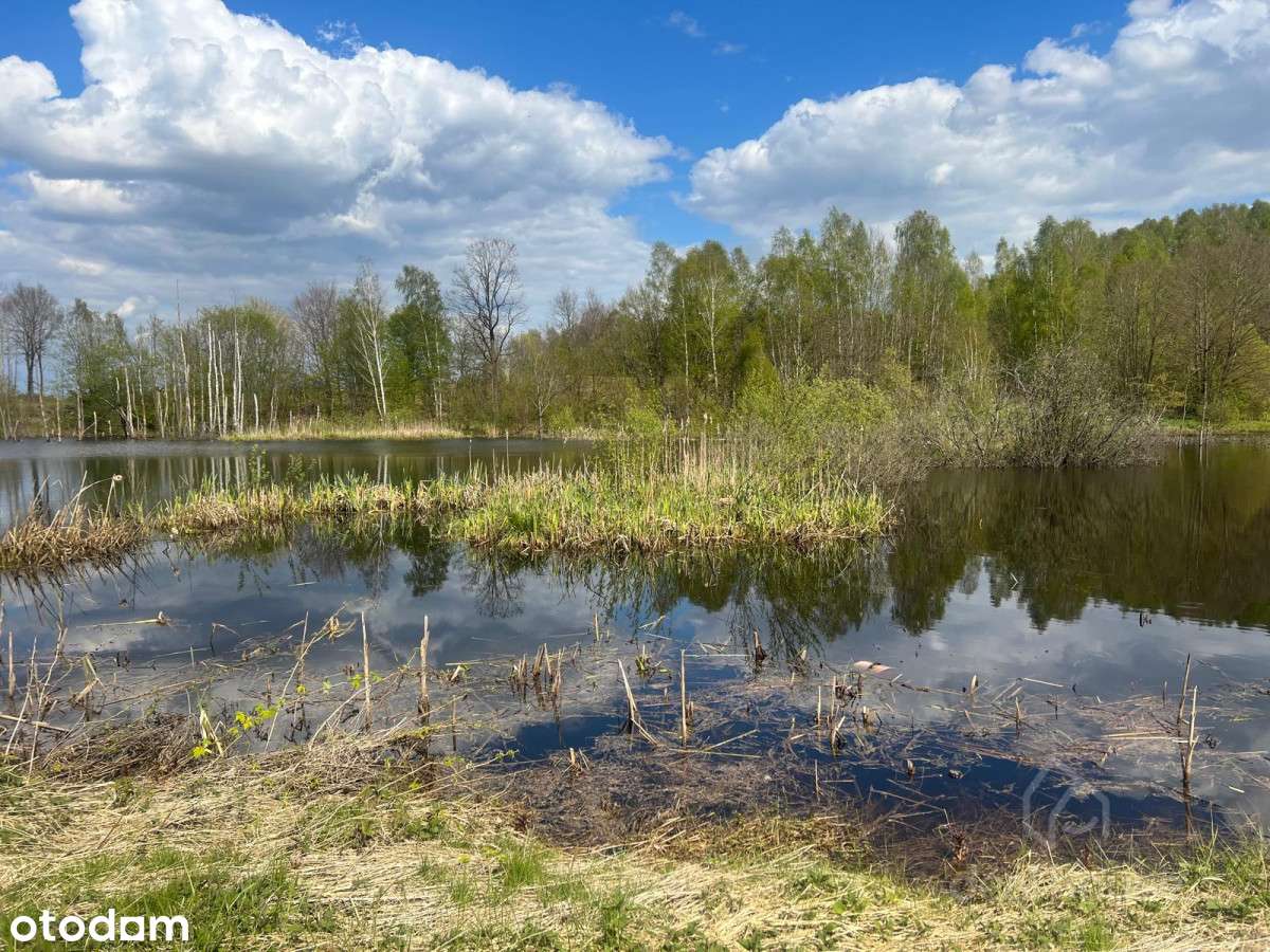 Piękne tereny, duży potencjał, Siedlisko:)-13