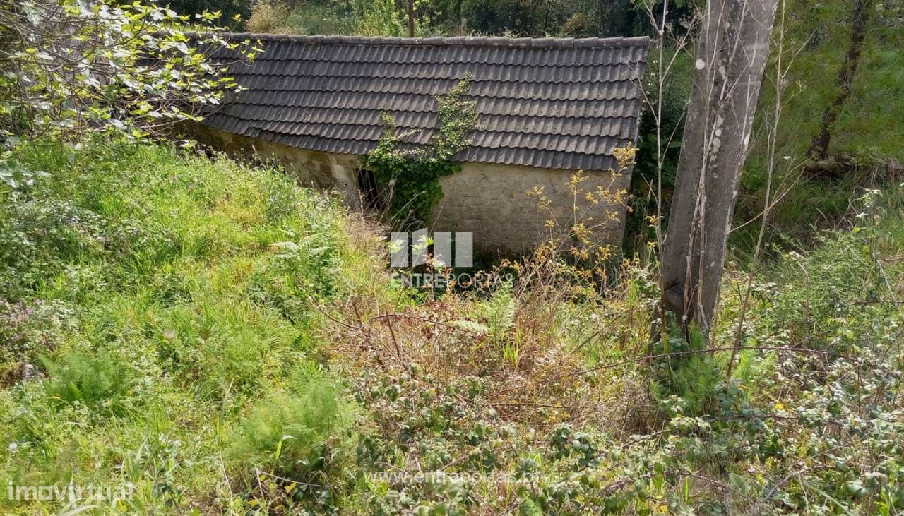 Moradia para restauro para venda, Gondarém, Vila Nova de Cerveira - Grande imagem: 4/27