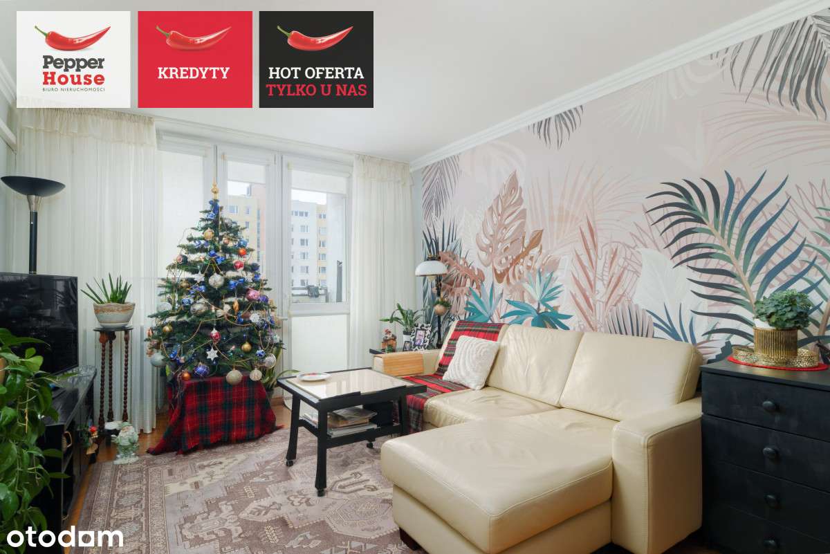 Świetna lokalizacja | Duże możliwości aranżacyjne!-2