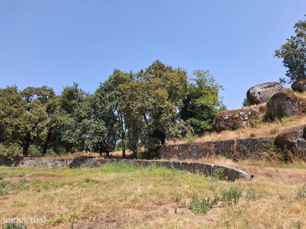 Quinta à venda – Prazins, Santo Tirso-11