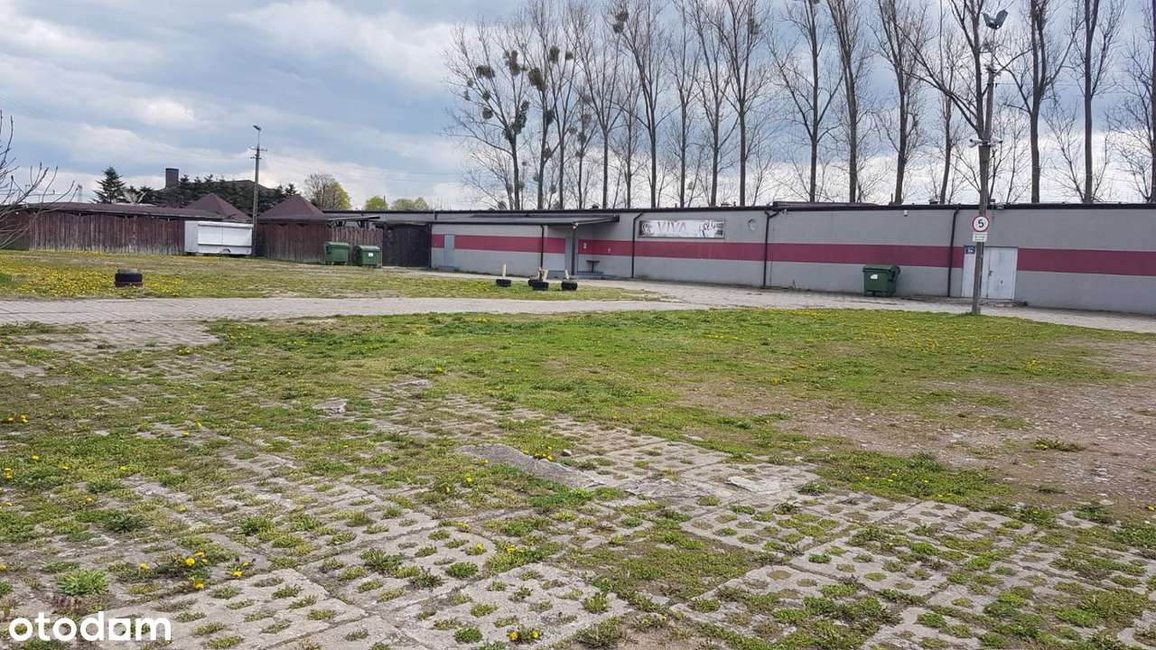 Nieruchomość 1,95 ha.Hala magazynowo -produkcyjna z parkingiem dla TIR-3
