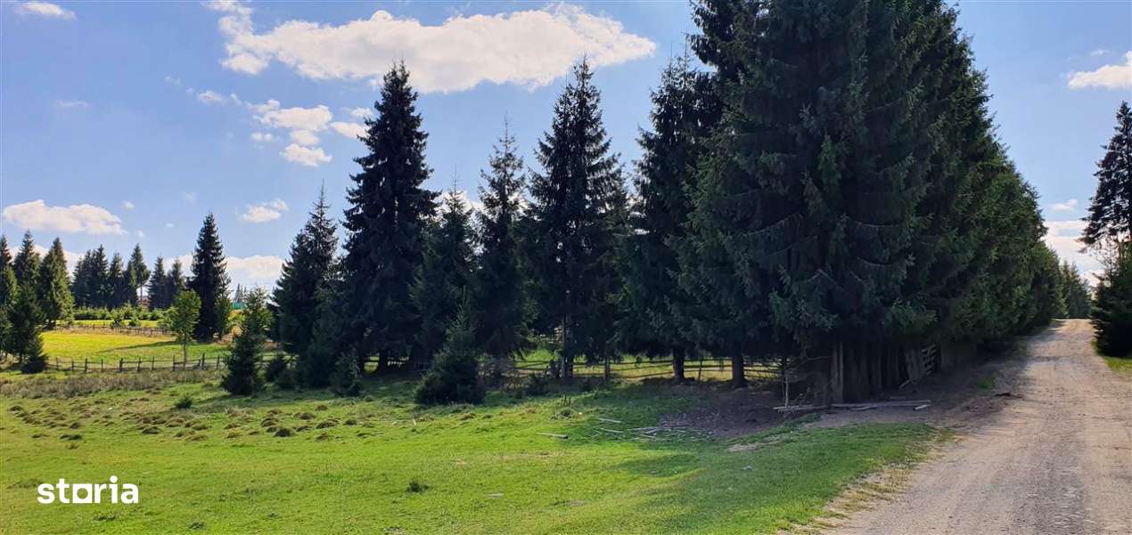 Oportunitare | Teren 1ha cu PUZ | Belis-1