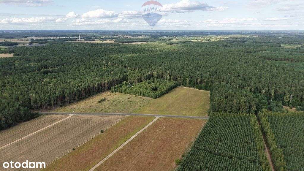 Działka na sprzedaż 3179 m², gmina Rypin - Pełny obrazek: 5/5