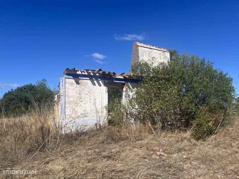 Herdade com 48ha de Natureza c/ Ruína de 53 m² – Ideal Projetos Rurais-3