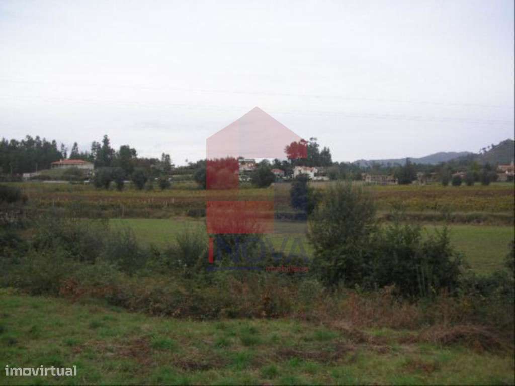 Terreno, Coucieiro - Grande imagem: 4/4