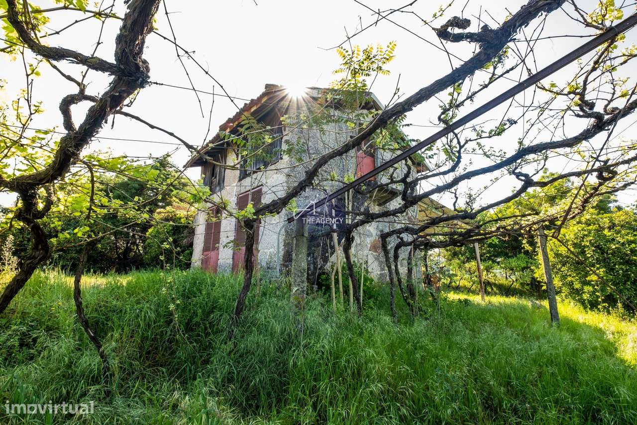 Quinta Autêntica em Amarante: 6 Hectares com Casa Senhorial, Proprieda - Grande imagem: 5/21