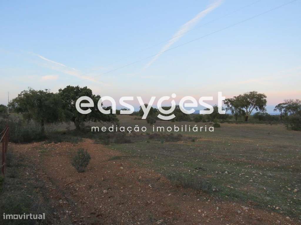 Terreno zona de Serpa com 9,5 hectares - Grande imagem: 5/14
