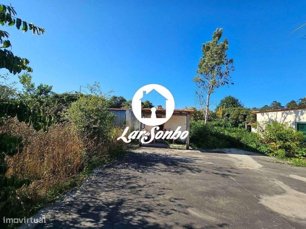 Quinta T4 em Rio Meão com 7500m2-27