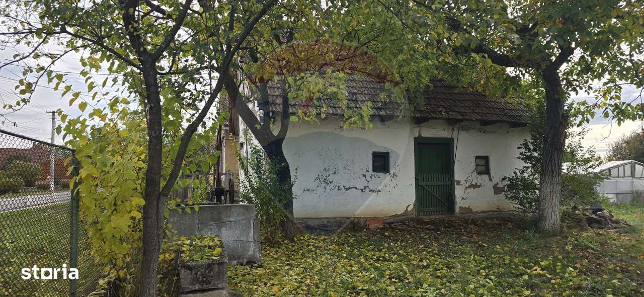 Teren generos cu potential în comuna Silindia, judetul Arad - Imagine principală: 2/12