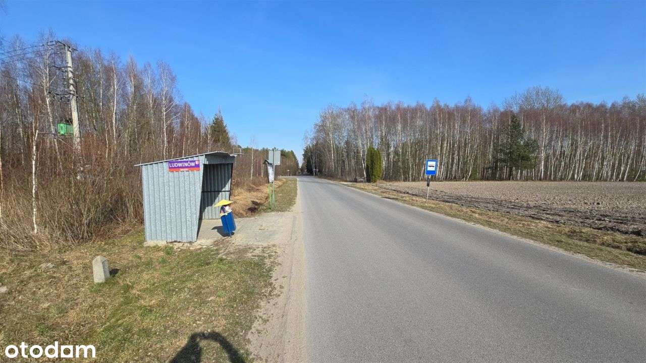 Urokliwa okolica czysty leśny klimat blisko miasta-11