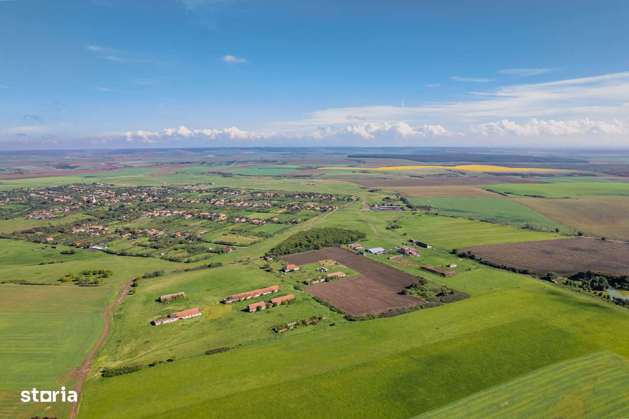 Teren de 69188 mp în Seceani - Imagine principală: 4/5