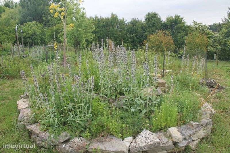 casa de campo em madeira na natureza - Grande imagem: 5/12