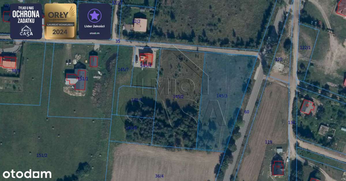 Działka z prywatnym lasem - Pełny obrazek: 4/5