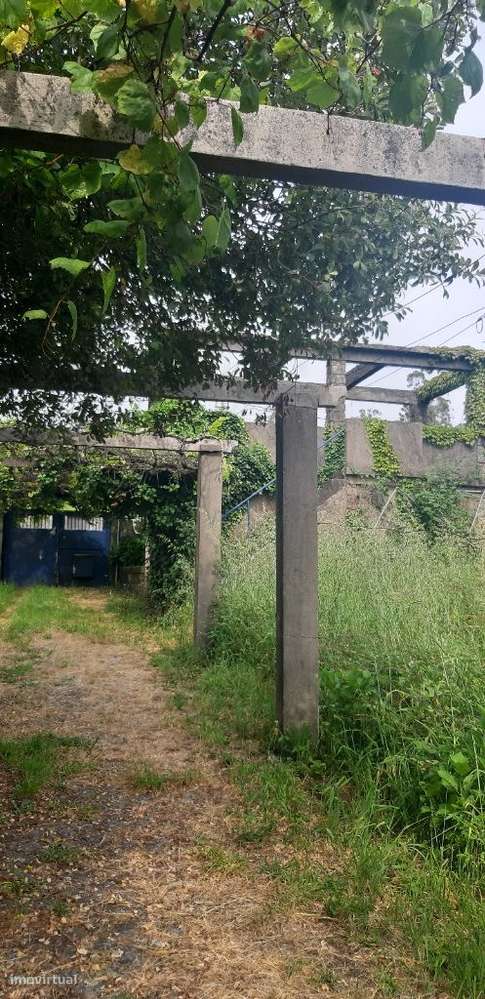 - Quinta c/casa 2 pisos , piscina e C/ terreno p/ novas construçõe-9