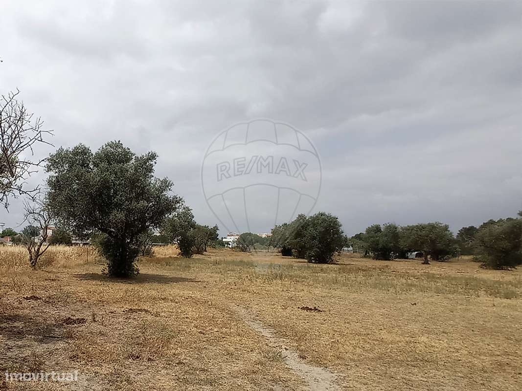 Terreno  para venda - Grande imagem: 5/9