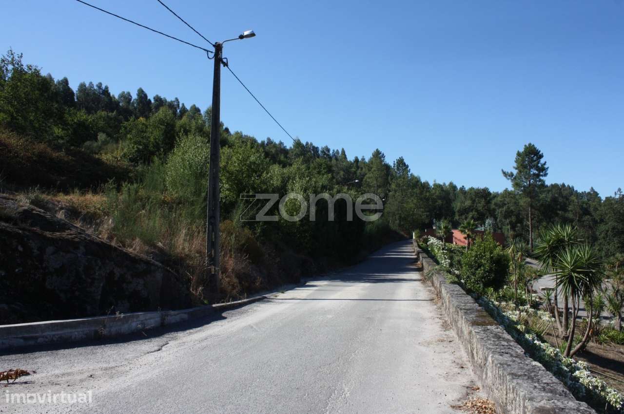 Terreno rústico c/37.400 m 2 de área. - Grande imagem: 3/15