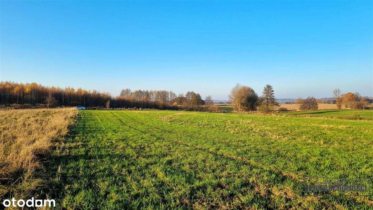 Parsęcko – działka 1,3 ha z możliwością siedliska.-5