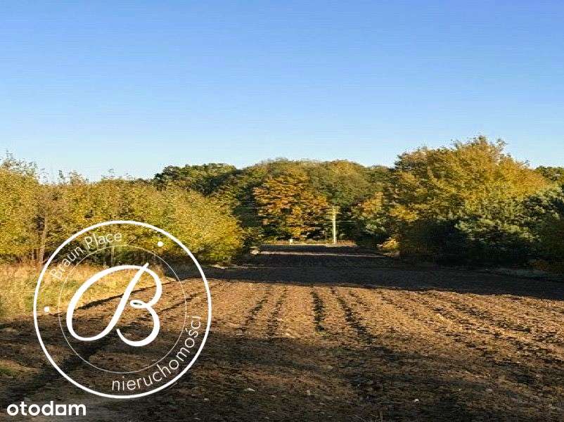 Działka Budowlana,3007 m², Nowa Pogorzel, ul. Pałacowa, gm. Siennica-5