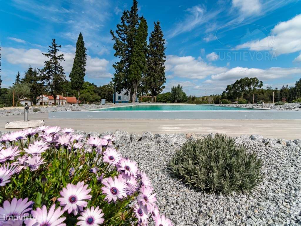 Herdade com 37 Ha com 6 Moradias para Habitação e/ou Turismo | Alcá...-24