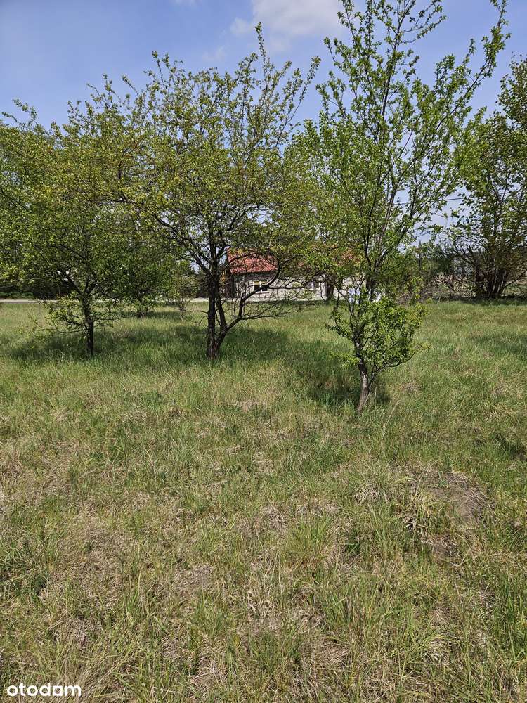 Działka budowalna we wsi Kurki 200 m od jeziora, wydane WZ-14