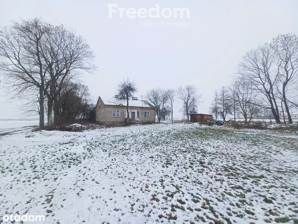 Dom z potencjałem na dużej działce - Pełny obrazek: 3/9