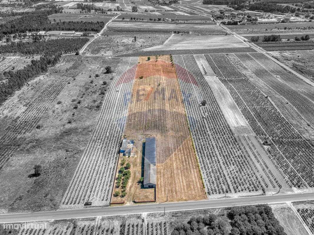 Armazém  para venda - Grande imagem: 2/31