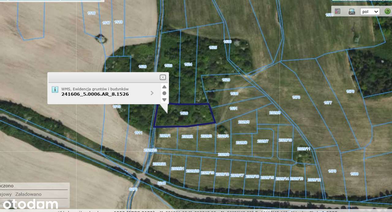 Ostatnia działka budowlana w lesie- 2173 m2 - k. Zamku Ogrodzieniec-5