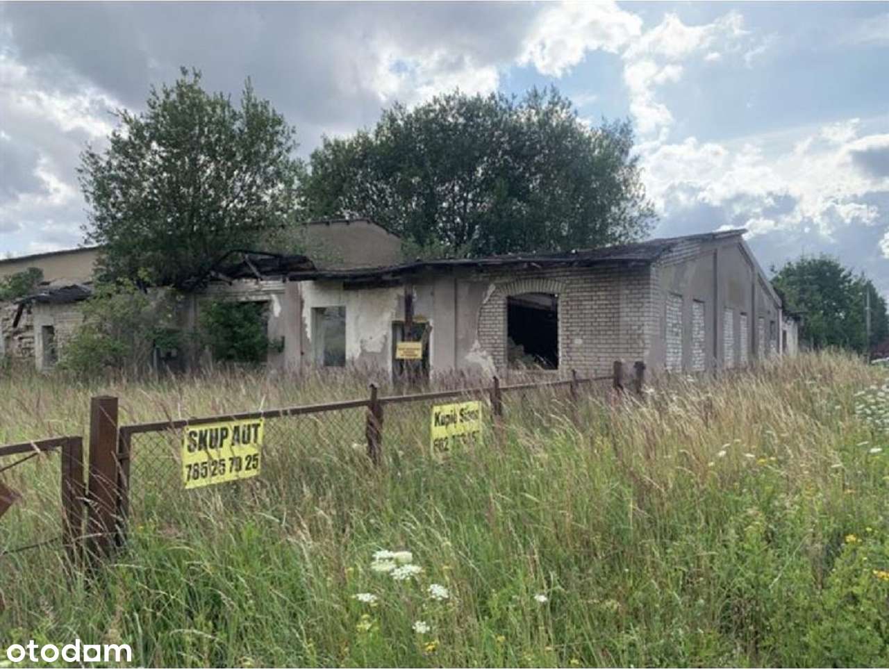 Działka 32096 m2 zabudowana budynkami gospodarczymi LICYTACJA - Pełny obrazek: 5/8