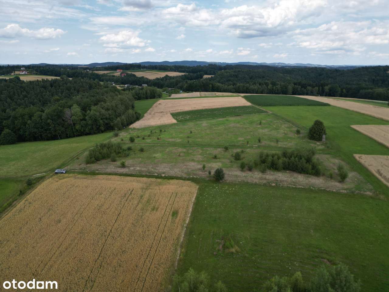 Szukasz działki o wyjątkowych walorach? Ostrusza k/Ciężkowic. - Pełny obrazek: 3/15