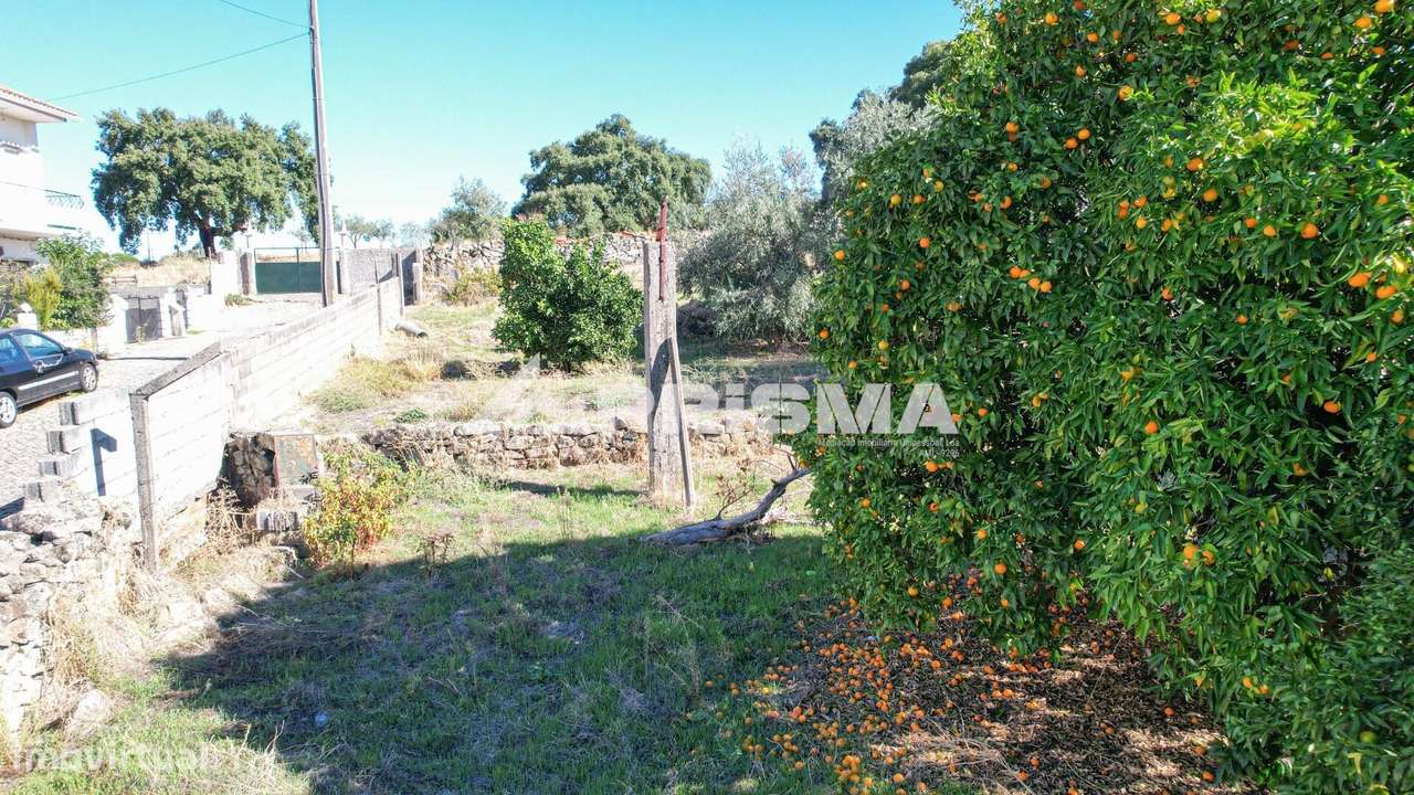 Terreno para venda em Alcains-10