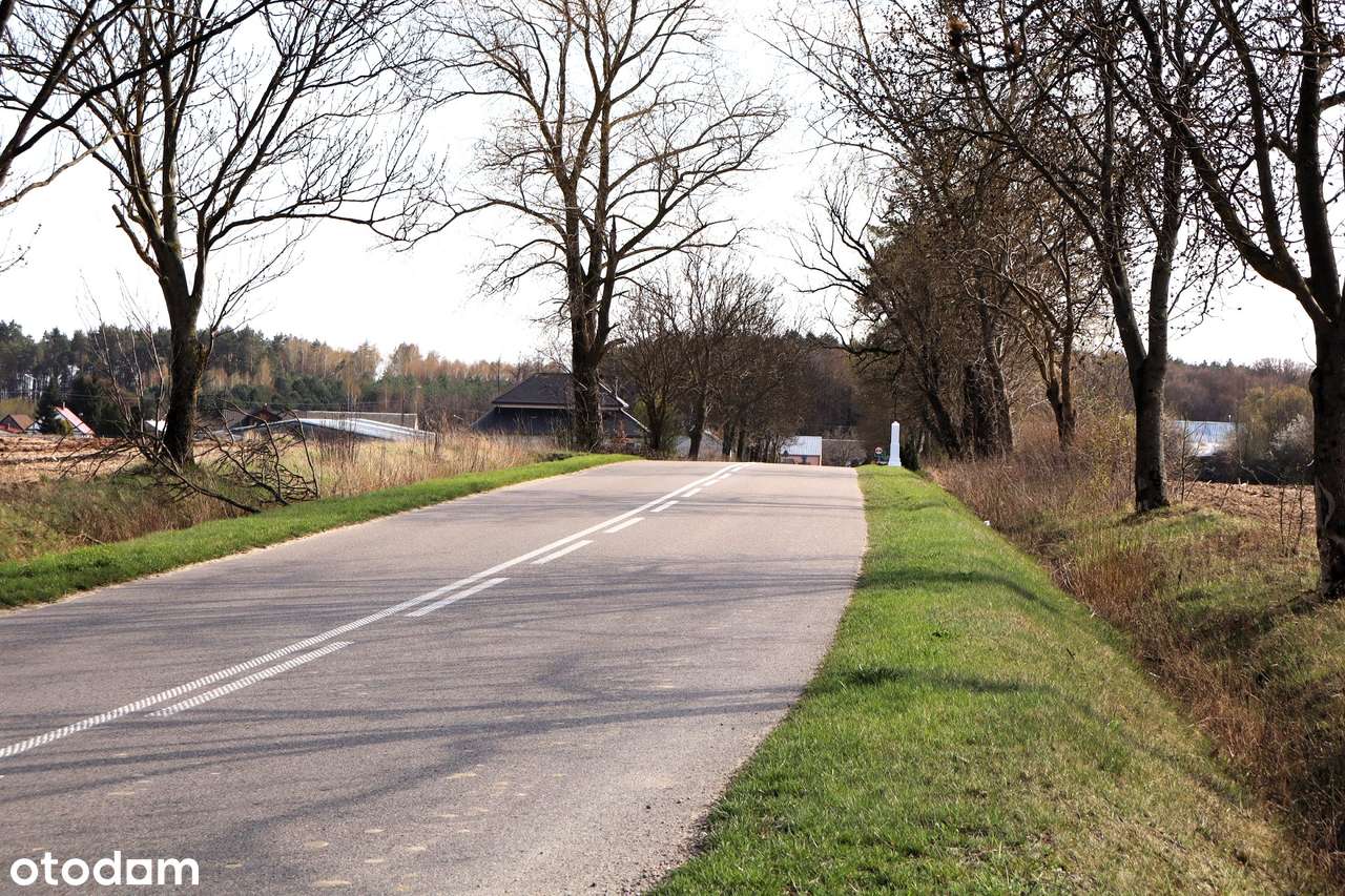 Ziemia rolna pod inwestycje, bez MPZP, gmina Przesmyki - Pełny obrazek: 4/6