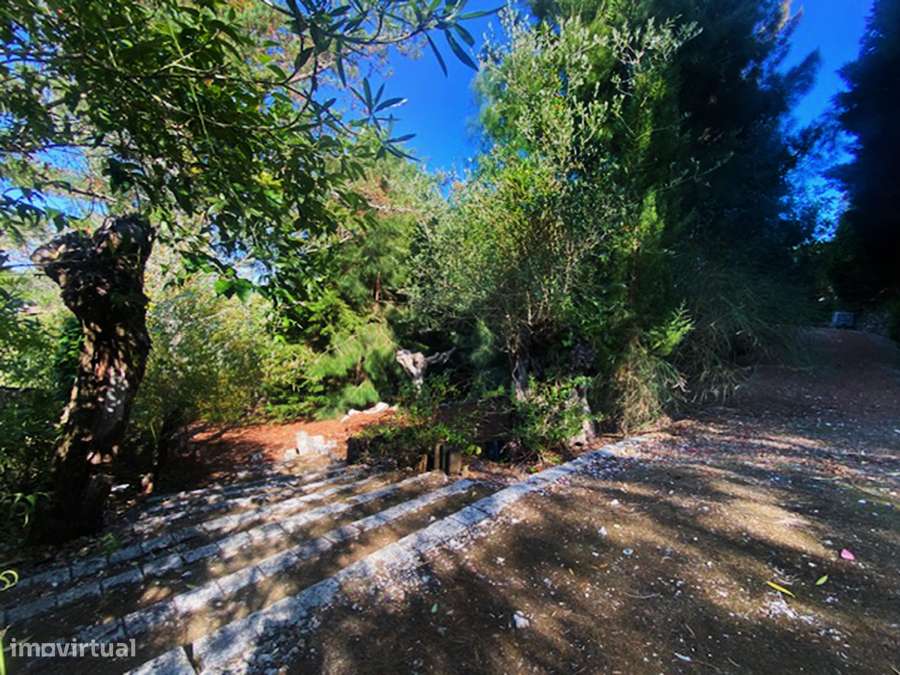 Moradia T5 grande propriedade, pleno campo, arredores Caldas da Rainha-13