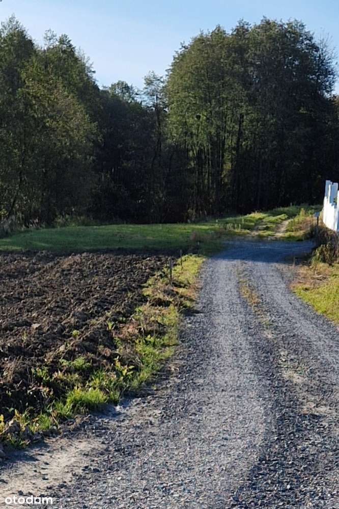 Działka 22.81 a Ropczyce Ul. Ogrodnicza WZ , media, dojazd utwardzony - Pełny obrazek: 5/8
