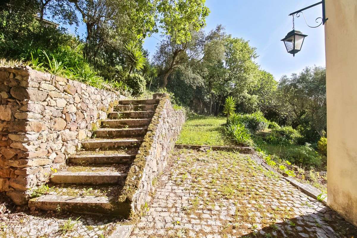 Quinta T3 para venda - Grande imagem: 5/24