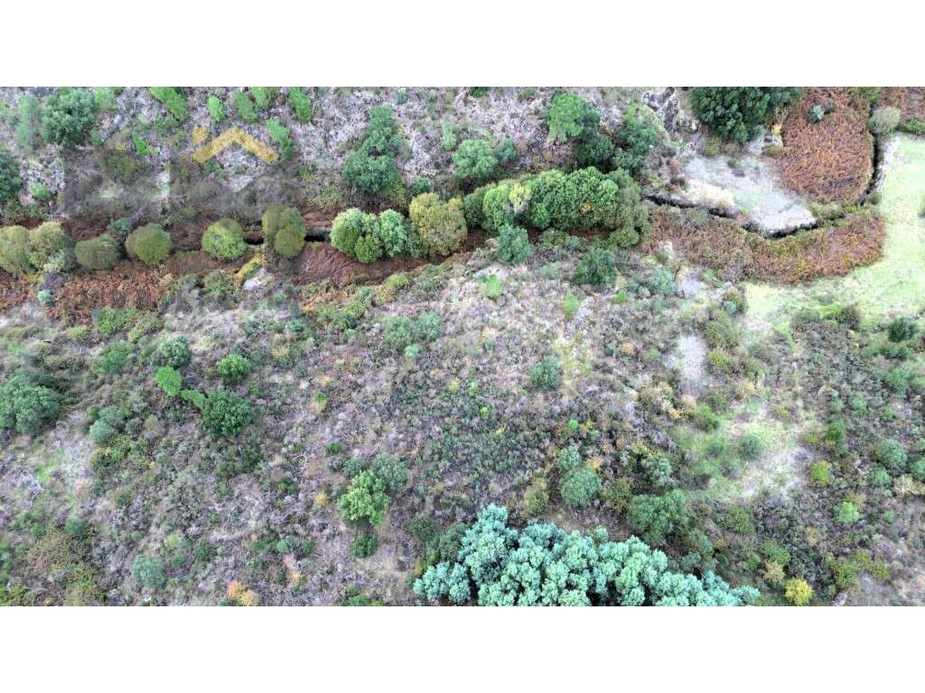 Terreno rustico com 12.750m2 para venda em Cafede! - Grande imagem: 3/7