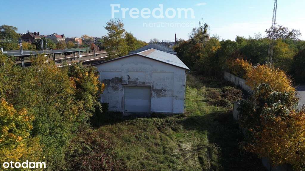 Hala magazynowa 1176m2 - Pełny obrazek: 5/12