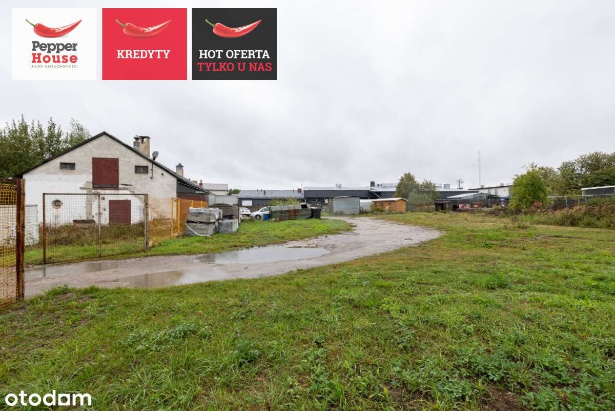 ph231038 - Pełny obrazek: 2/8