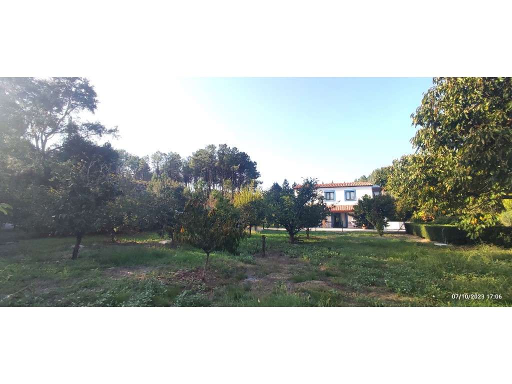 Quinta com duas moradias, anexos, diversas arvores de fruto, vinha ...-14