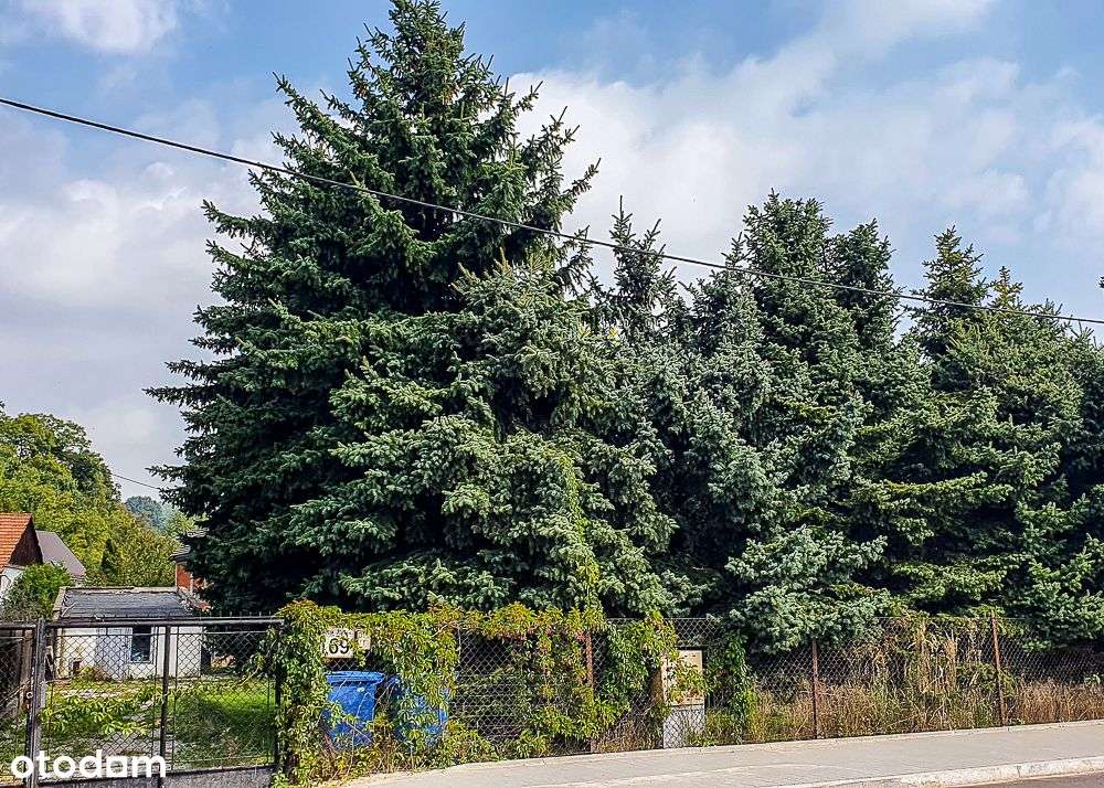 Działka mieszkaniowa lub usługowa przy Ks. Józefa!-5