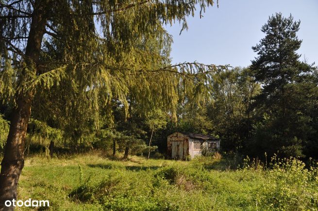 Sieraków - atrakcyjna działka budowlana