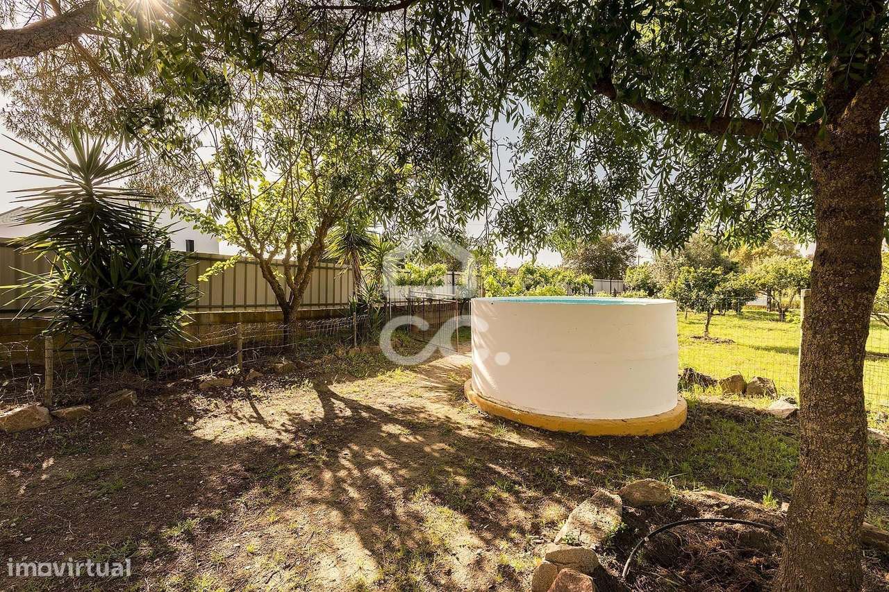 Quinta de 9250m2 c/ Moradia T4 térrea, anexo e armazém | Azaruja-25