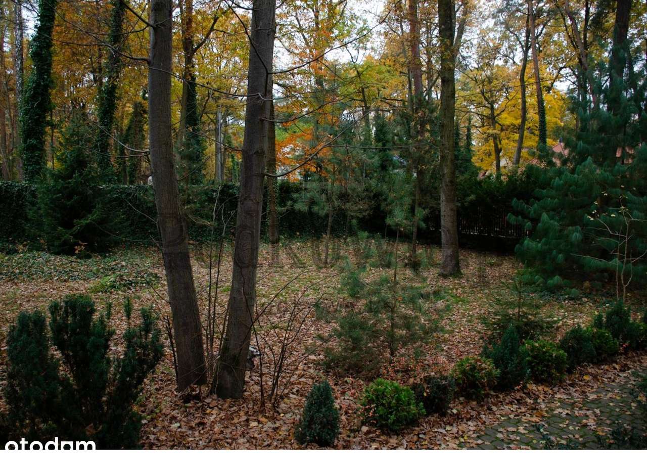 Piękna działka z dwoma domami (głównym i gospodarczym). - Pełny obrazek: 5/20